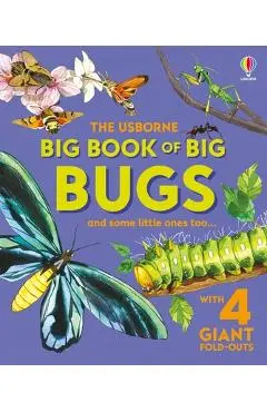 Big Book of Big Bugs - Emily Bone