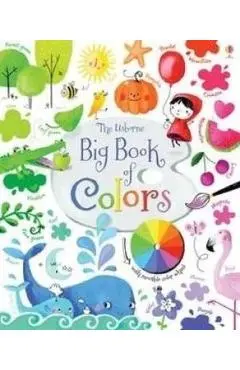 Big Book of Colors - Felicity Brooks
