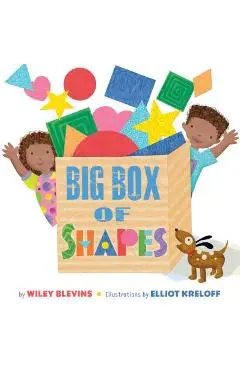 Big Box of Shapes - Wiley Blevins