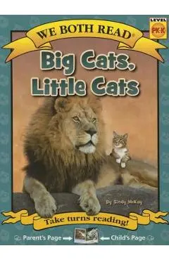 Big Cats, Little Cats - Sindy Mckay