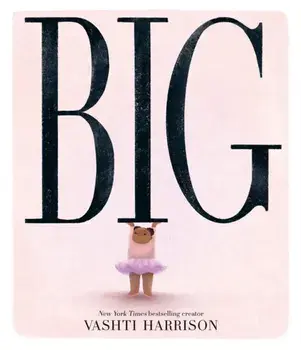 Big, Paperback/Vashti Harrison