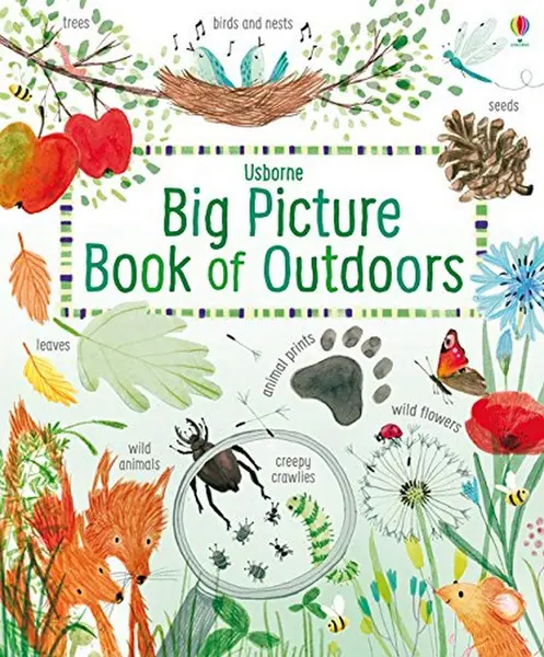 Big Picture Book of Outdoors | Minna Lacey