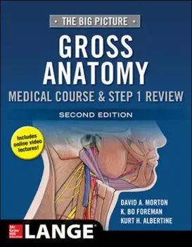 Big Picture: Gross Anatomy, Medical Course & Step 1 Review, Second Edition, Paperback/Dr. Kurt H. Albertine