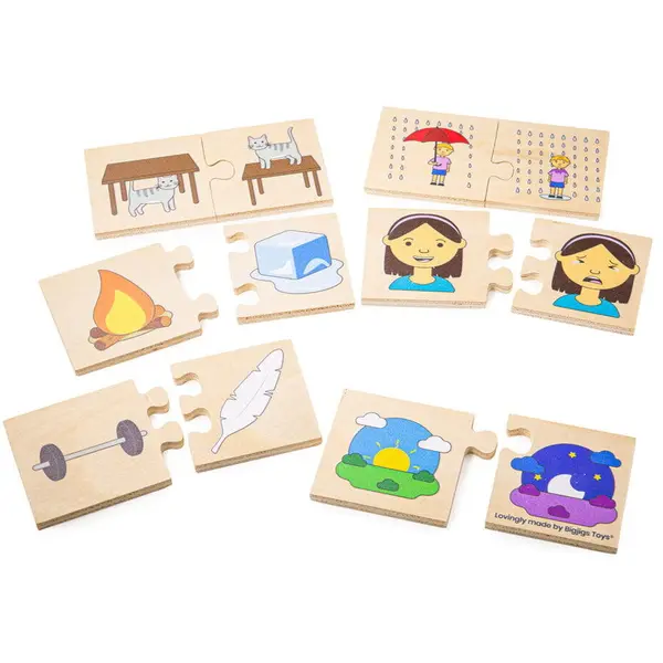 BigJigs Toys Puzzle din lemn - Notiuni opuse