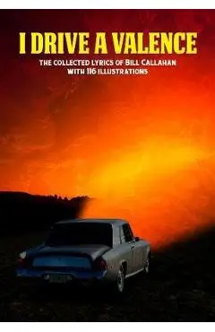 Bill Callahan: I Drive A Valence - Bill Callahan