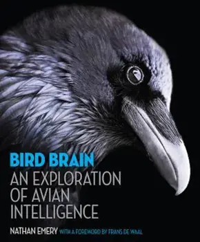 Bird Brain: An Exploration of Avian Intelligence, Hardcover/Nathan Emery