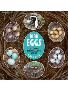 Bird Eggs. A Young Naturalist's Guide, Paperback/Mark Peck