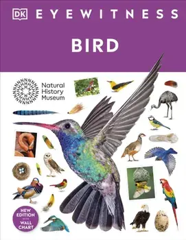 Bird, Hardback/DK