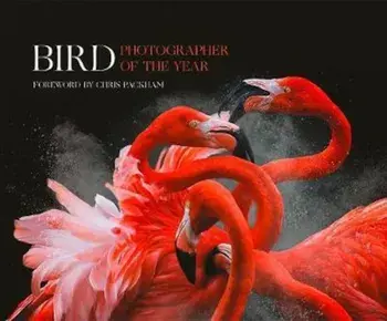 Bird Photographer of the Year: Collection 3, Hardcover/Chris Packham