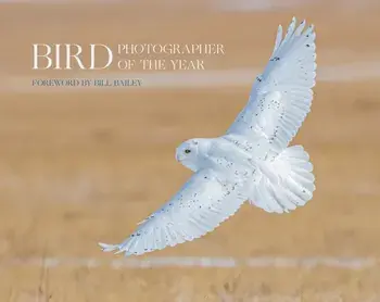 Bird Photographer of the Year. Collection 6, Hardback/Bird Photographer of the Year
