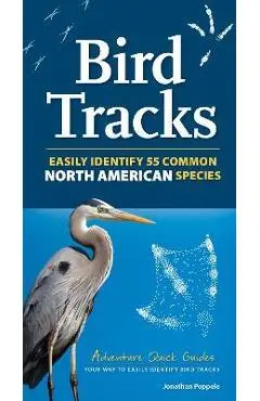 Bird Tracks: Easily Identify 55 Common North American Species - Jonathan Poppele