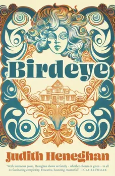 Birdeye, Paperback/Judith Heneghan