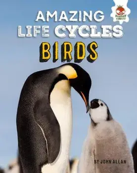 Birds - Amazing Life Cycles, Hardback/John Allan