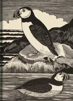 Birds Journal, Hardcover/Eric Fitch Daglish