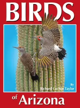 Birds of Arizona, Paperback/Richard C. Taylor