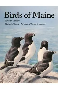 Birds of Maine - Peter Vickery
