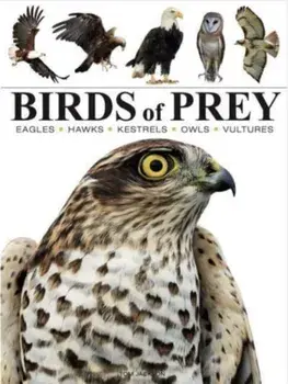 Birds of Prey, Paperback/Tom Jackson