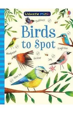 Birds to Spot - Sam Smith