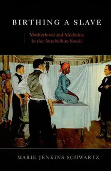 Birthing a Slave: Motherhood and Medicine in the Antebellum South, Paperback/Marie Jenkins Schwartz