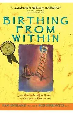 Birthing from Within: An Extra-Ordinary Guide to Childbirth Preparation - Pam England Cnm Ma