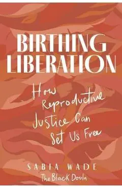 Birthing Liberation: How Reproductive Justice Can Set Us Free - Sabia Wade