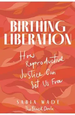 Birthing Liberation: How Reproductive Justice Can Set Us Free - Sabia Wade
