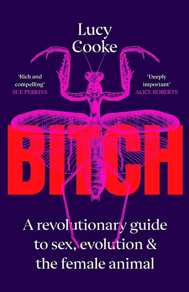 Bitch