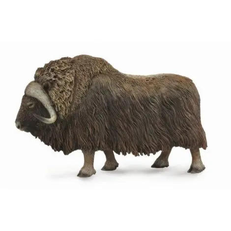 Bivol - Collecta