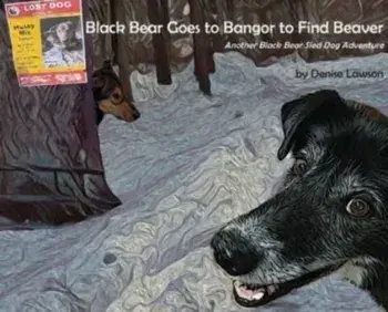 Black Bear Goes to Bangor to Find Beaver, Hardcover/Denise Lawson