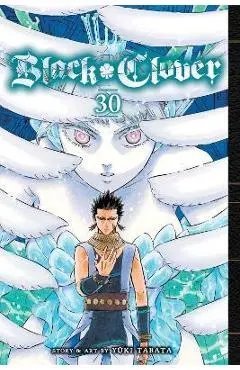 Black Clover, Vol. 30: Volume 30 - Yuki Tabata