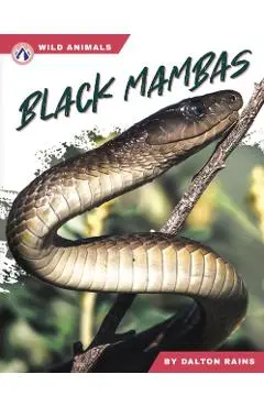 Black Mambas - Dalton Rains
