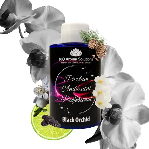 Black Orchid
