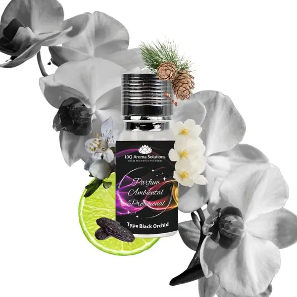 Black Orchid