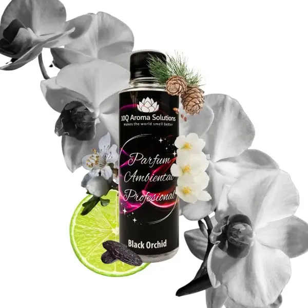 Black Orchid