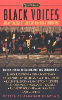 Black Voices, Paperback/Various