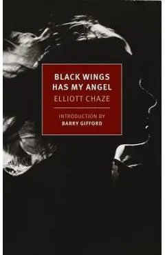 Black Wings Has My Angel - Elliott Chaze