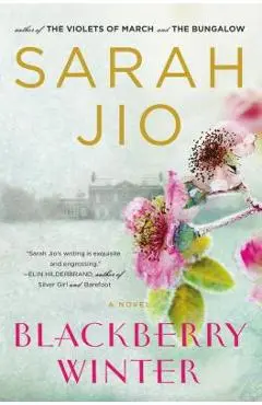 Blackberry Winter - Sarah Jio
