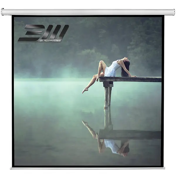 Blackmount Ecran proiectie electric perete/tavan Blackmount, marime vizibila 240cm X 240 cm, cu telecomanda