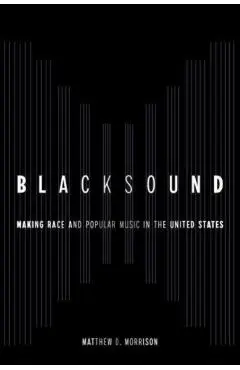 Blacksound: Making Race and Popular Music in the United States - Matthew D. Morrison
