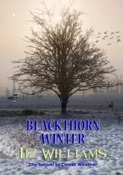 Blackthorn Winter, Paperback/Liz Williams