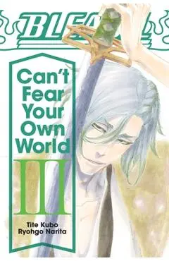 Bleach: Can't Fear Your Own World, Vol. 3 - Ryohgo Narita