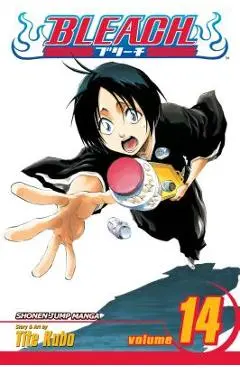 Bleach, Vol. 14 - Tite Kubo