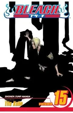 Bleach, Vol. 15, 15 - Tite Kubo
