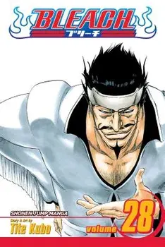 Bleach, Vol. 28, Paperback/Tite Kubo