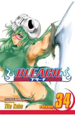Bleach, Vol. 34 - Tite Kubo