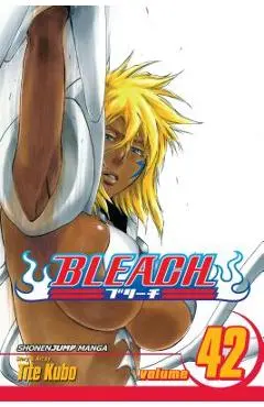 Bleach, Vol. 42, 42 - Tite Kubo
