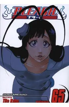 Bleach, Vol. 65