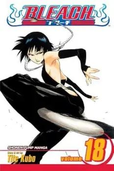 Bleach, Volume 18, Paperback/Tite Kubo