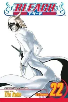 Bleach, Volume 22, Paperback/Tite Kubo