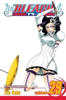 Bleach, Volume 29, Paperback/Tite Kubo
